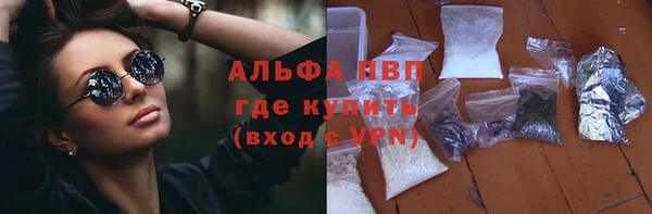 сатива Козловка