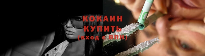 сатива Козловка