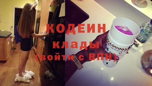 сатива Козловка