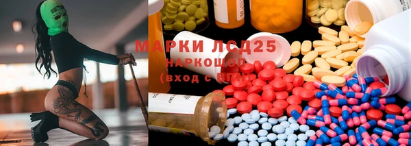 сатива Козловка