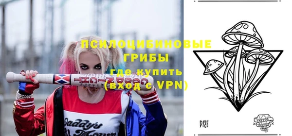 бошки Кодинск